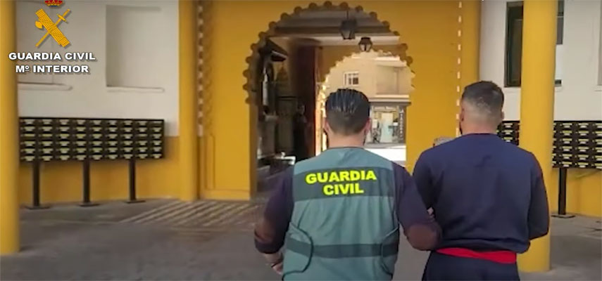16 человек арестован за кражу более 17 тонн украденных оливок в районе Лас-Вегаса в Мадриде