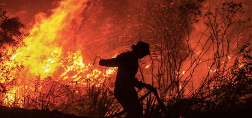 Сезон лесных пожаров в Испании становится длиннее