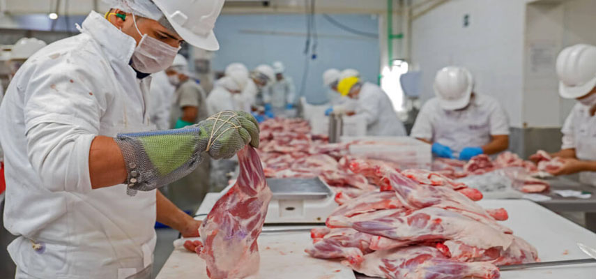 Исследование показало, что супербактерии скрываются в 40% мяса в испанских супермаркетах