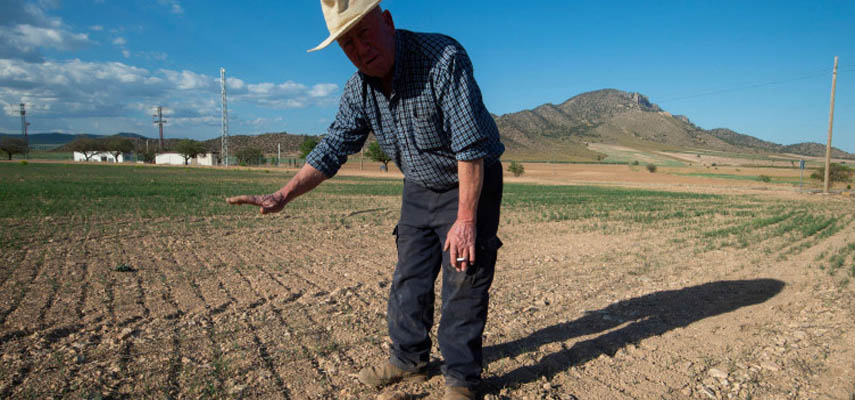 Испания хочет, чтобы Европа выделила средства для помощи страдающим фермерам