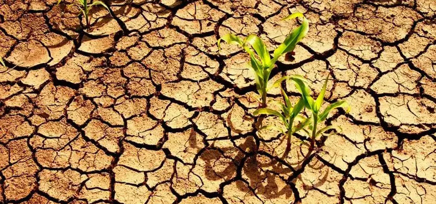 Поля и фермы Испании становятся все более бесплодными из-за беспрецедентной засухи