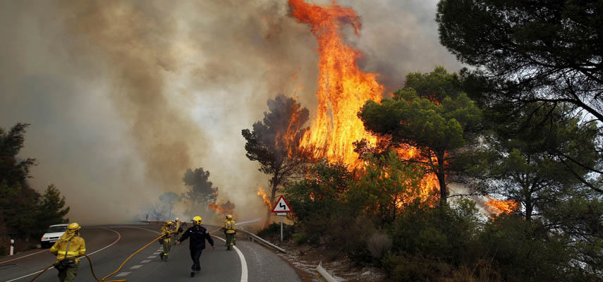 Испания горит: пожар опустошил почти 40 000 гектаров до мая, почти вдвое больше, чем за весь 2022 год
