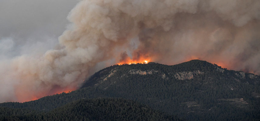 В Испании разрабатываю план для предотвращения и борьбы с лесными пожарами
