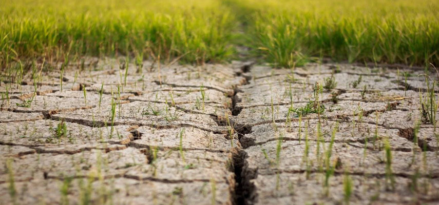 Испания получит около 81 млн евро из сельскохозяйственного фонда ЕС на борьбу с засухой