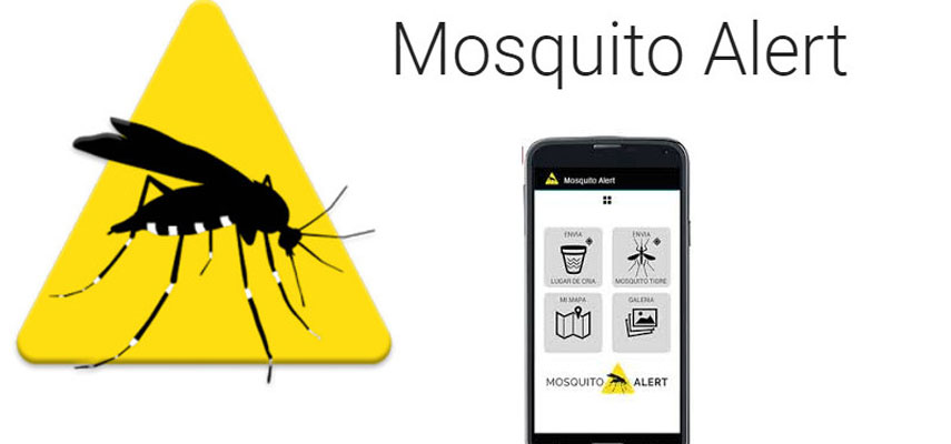 В Испании людей призывают использовать приложение Mosquito Alert, чтобы быть в курсе активности вредителей и распространения вирусов
