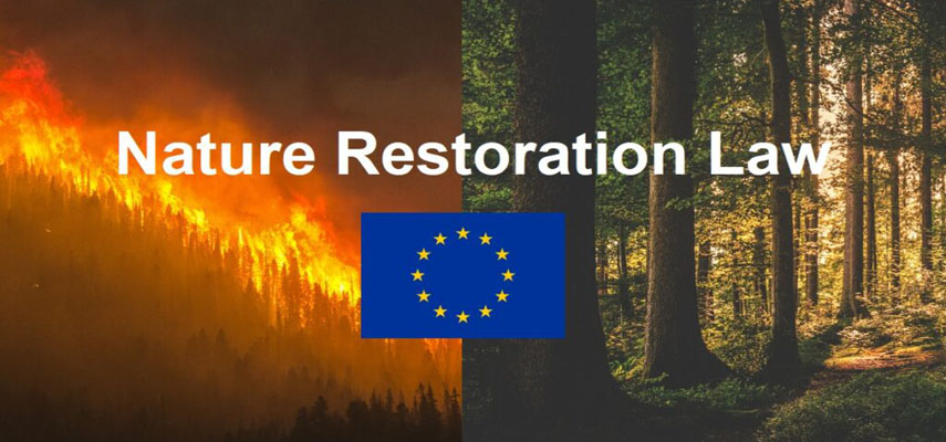 Европейская комиссия приняла новаторский закон о восстановлении природы