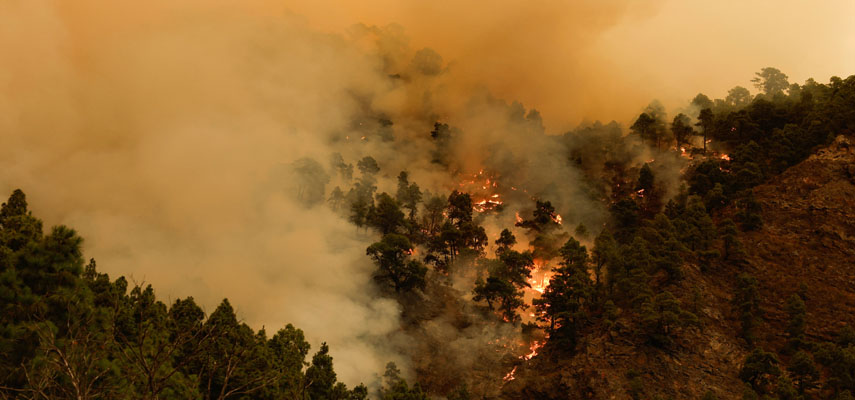 На Тенерифе вспыхнул мощный лесной пожар, вызвавший эвакуацию жителей и перекрытие дорог
