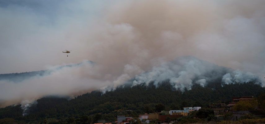 Пламя охватило более 30% лесного массива на Тенерифе