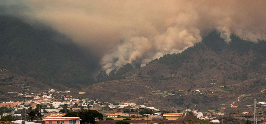 Тенерифе борется с масштабным неконтролируемым лесным пожаром