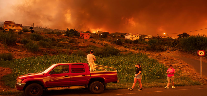 Лесной пожар на Тенерифе начался преднамеренно