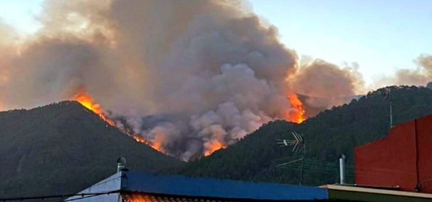 Лесной пожар на Канарском острове Тенерифе уже уничтожил около 2600 гектаров земли
