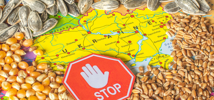 Украина столкнулась с пятью странами Евросоюза из-за экспорта зерна