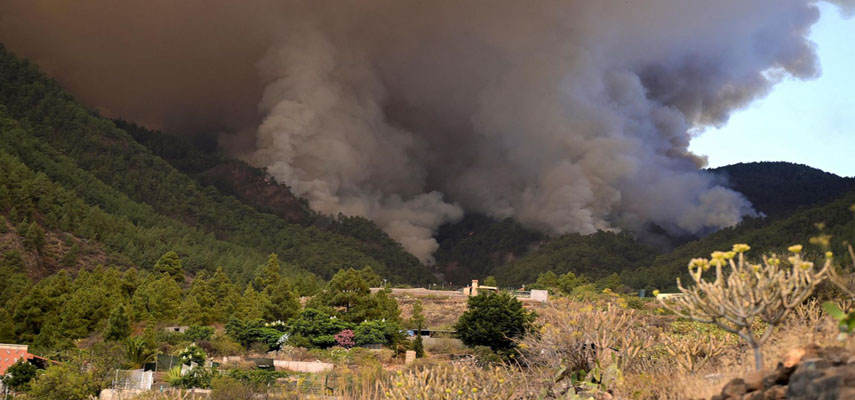 На Тенерифе вновь вспыхнул разрушительный лесной пожар