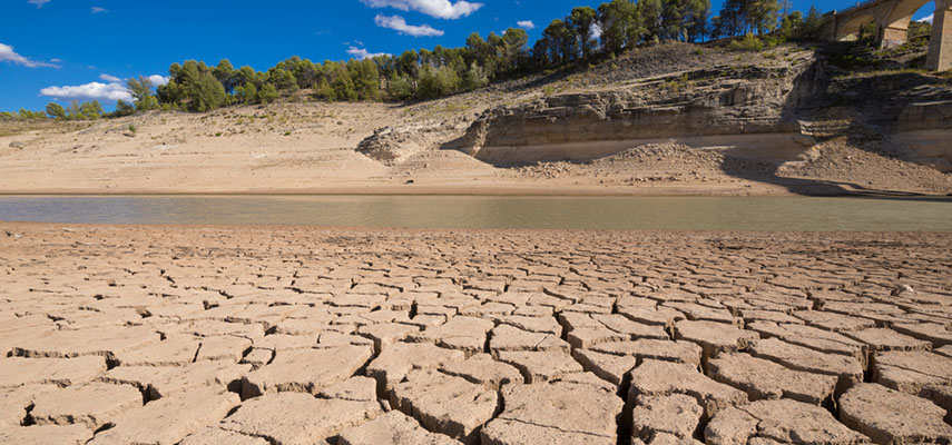 В 2023 году Испания пережила одну из самых сильных засух, она стоила каждому испанцу 45,5 евро