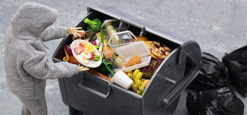 В Испании одобрен новый закон о предотвращении продовольственных потерь и отходов