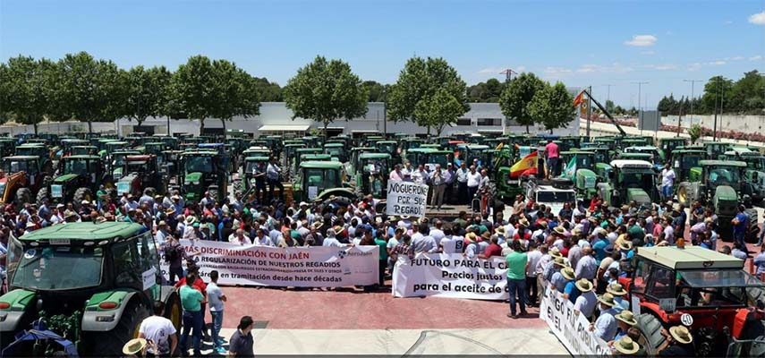 Испанский сельскохозяйственный сектор призывает к мобилизации по всей стране из-за кризиса в сельской местности